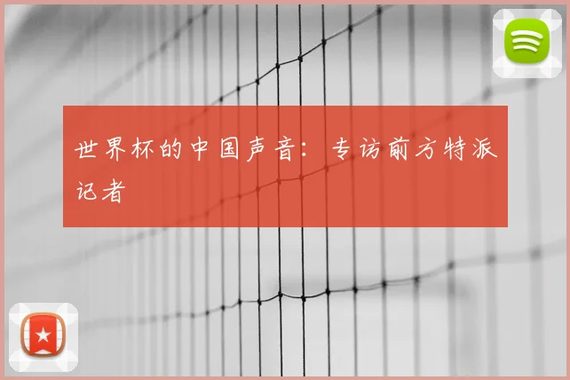 世界杯的中国声音：专访前方特派记者
