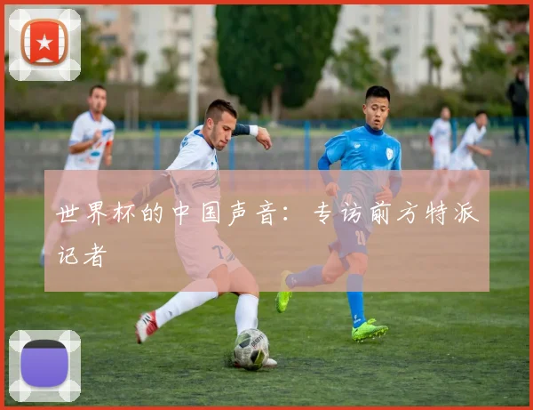 世界杯的中国声音：专访前方特派记者